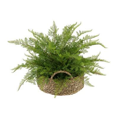 Faux Lace Fern Plant in Basket X346321