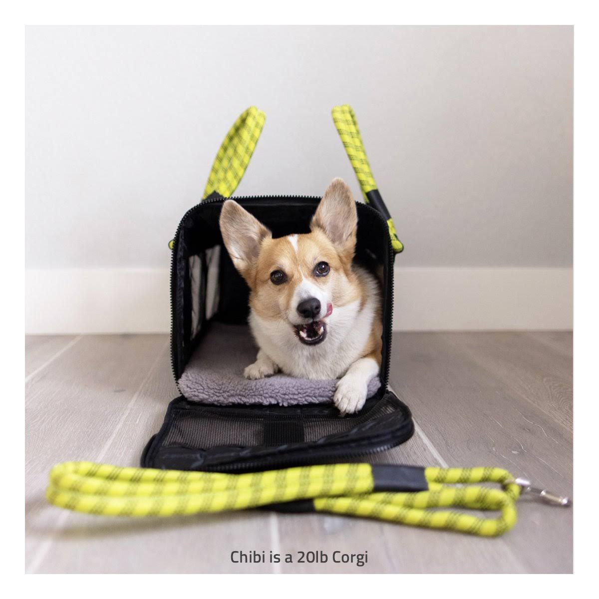 Travel Airline-Approved Dog & Cat Carrier, Camo/Magenta, Small K119181