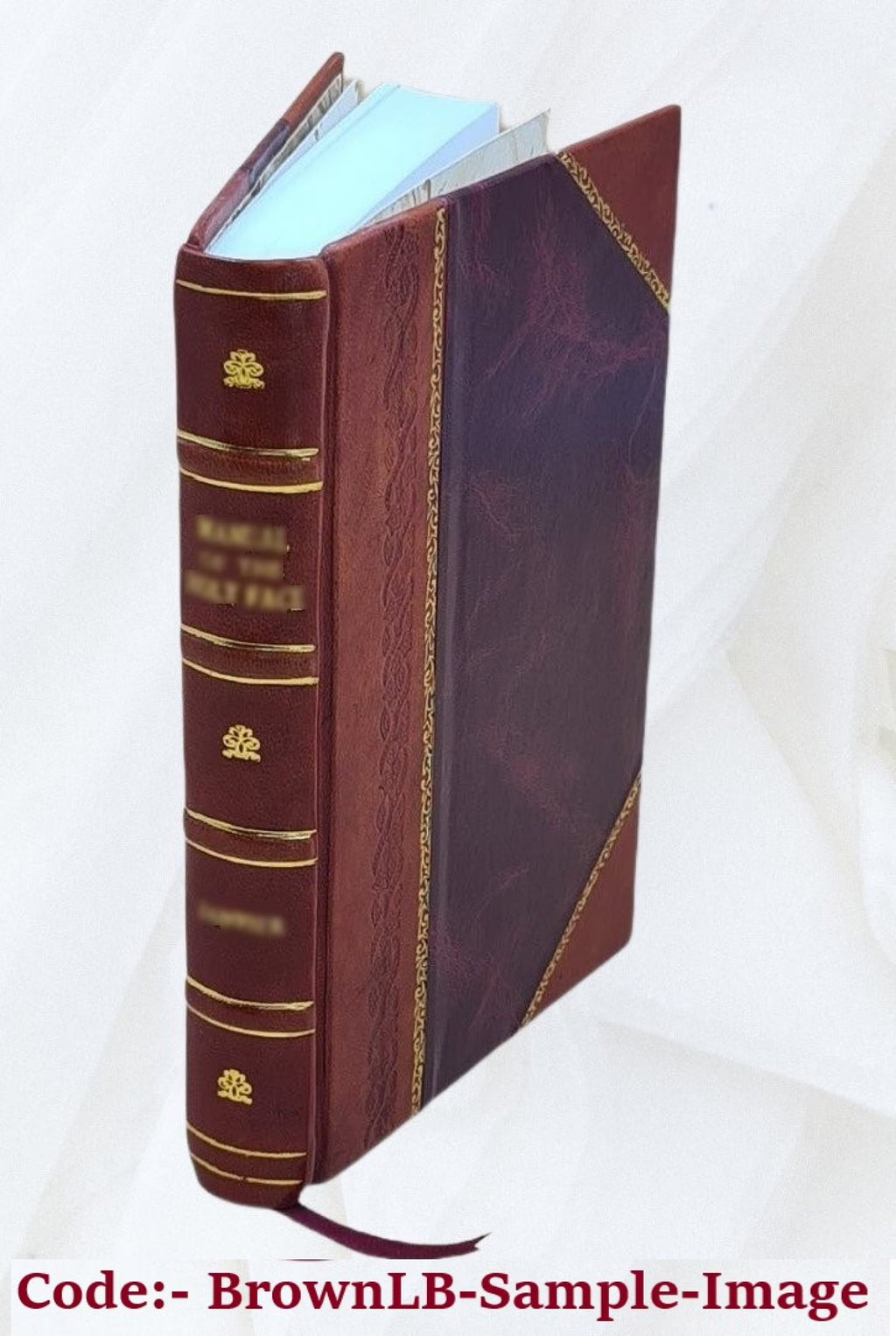 Leather Bound Book P45531