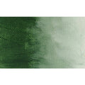 Italian Terra Verte Oil Color 473 ml H282