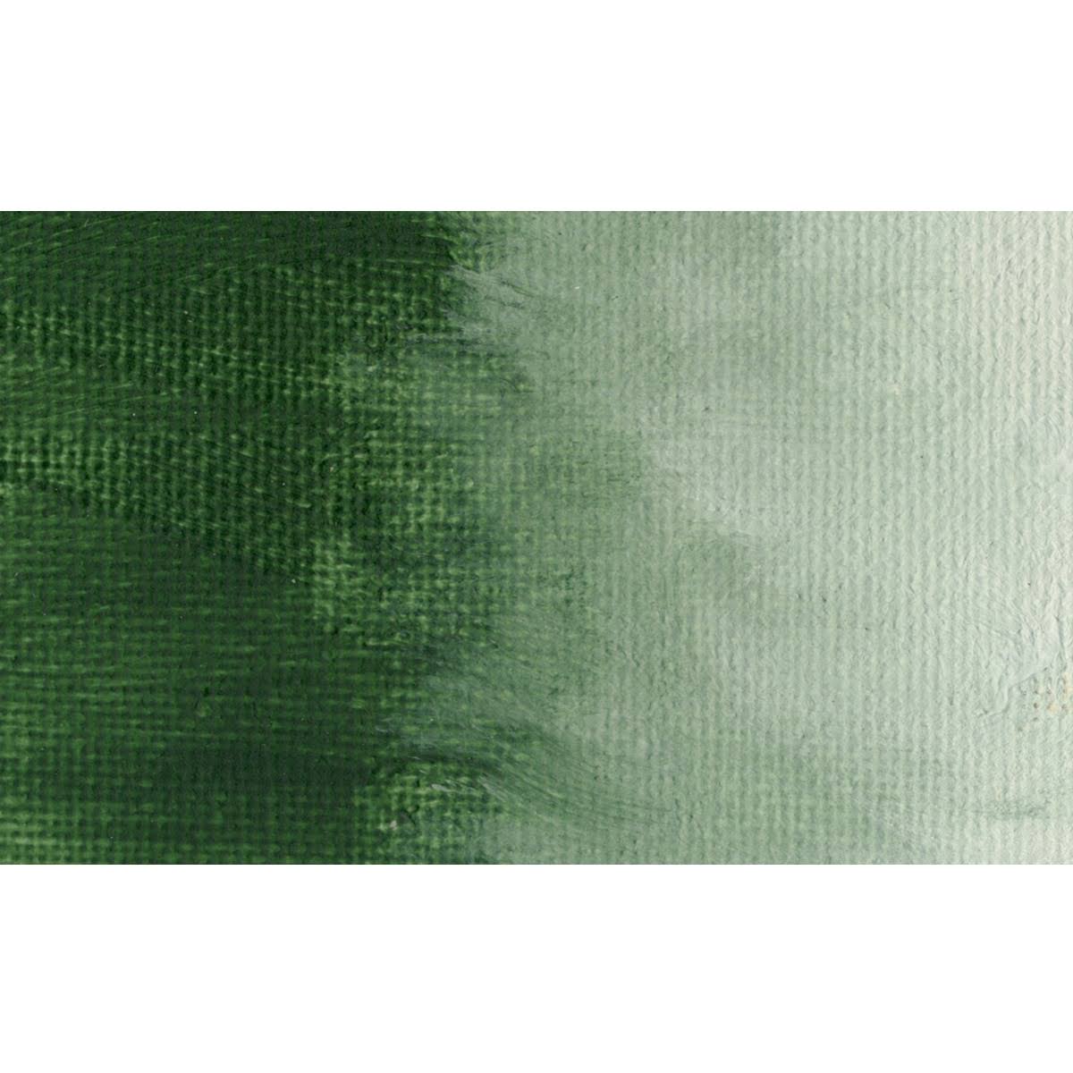 Italian Terra Verte Oil Color 473 ml H282