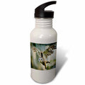 21 oz Sports Water Bottle X6900