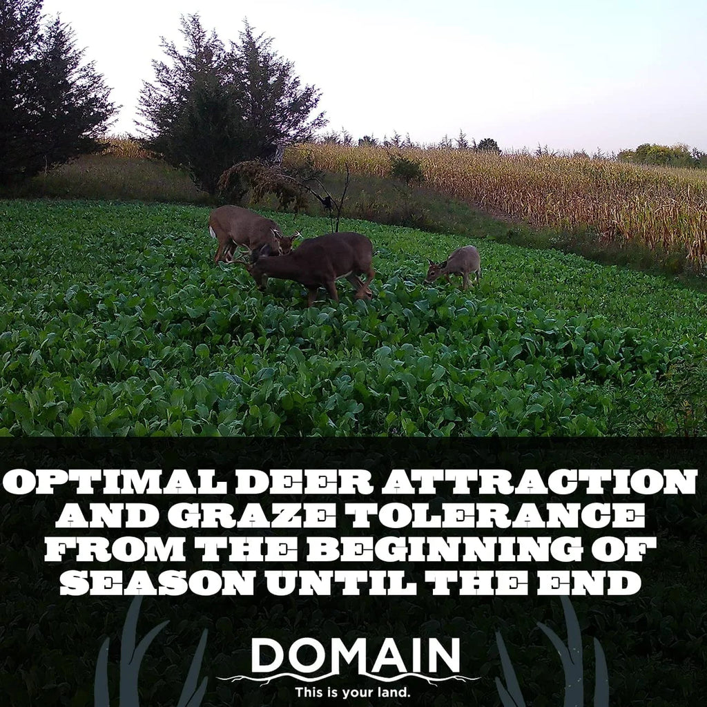Deer Food Plot Seed Mix Y2705
