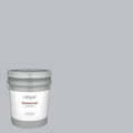 Exterior Paint (5-Gallon) O120