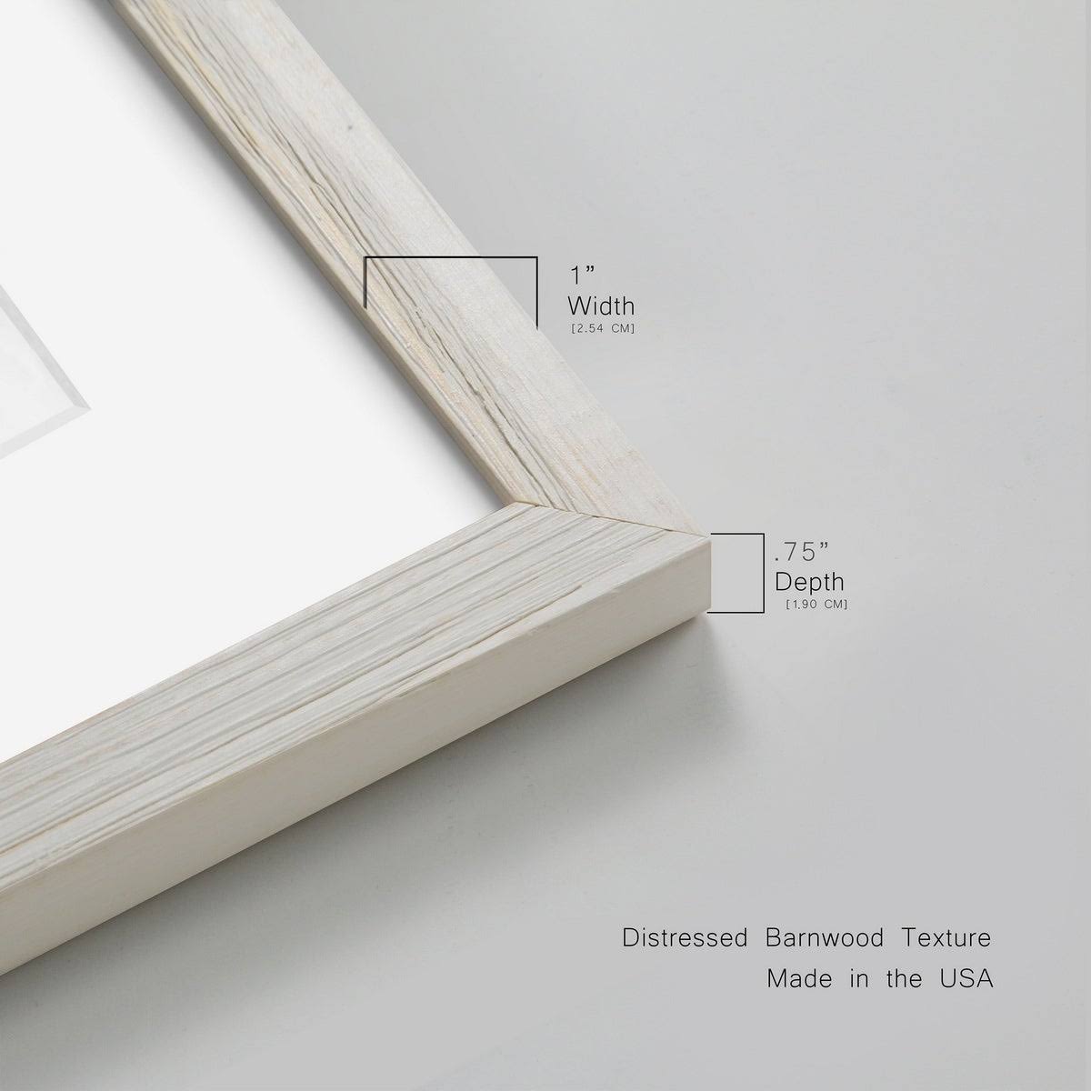 Framed Print 31X44 Grey M1847
