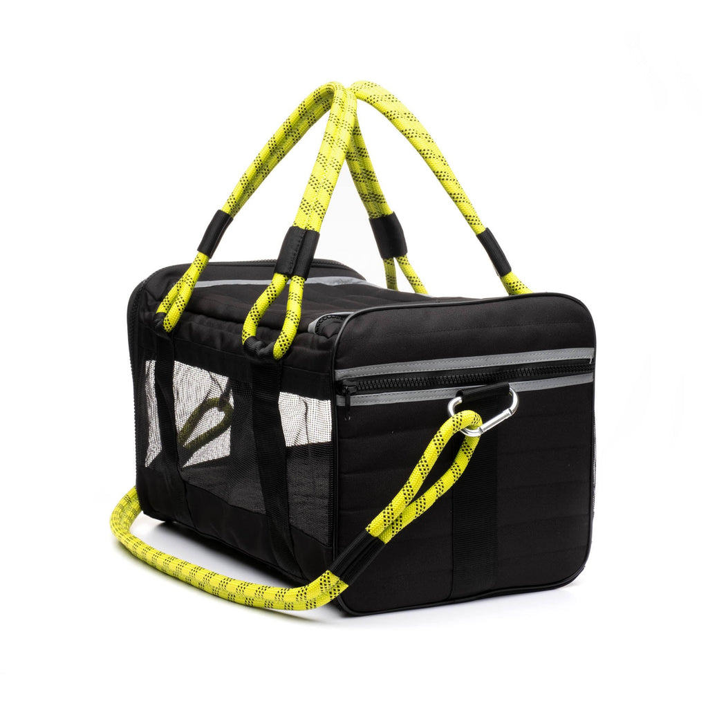 Travel Airline-Approved Dog & Cat Carrier, Camo/Magenta, Small K119181