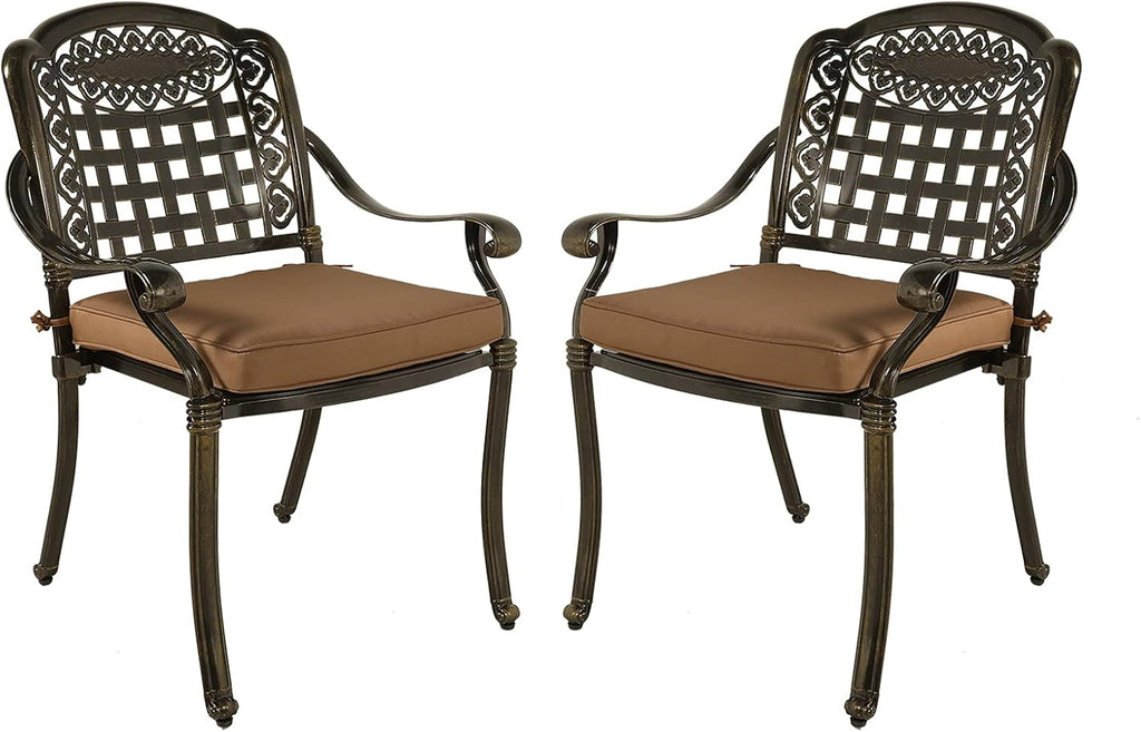 2-Piece Patio Cast Aluminum Dining Chairs N13791