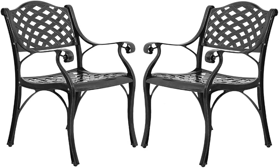 2-Piece Patio Cast Aluminum Dining Chairs N13791