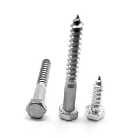Hex Lag Screw Stainless Steel 18-8 Pk 250 X680