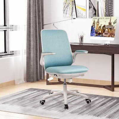 Blue Ergonomic Task Chair B33224
