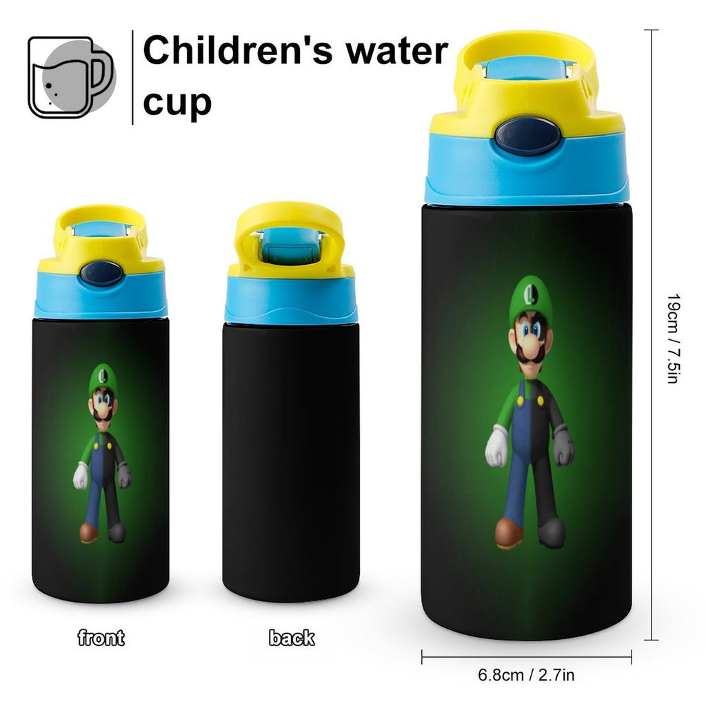 Insulated Stainless Steel Water Bottle with Straw D437
