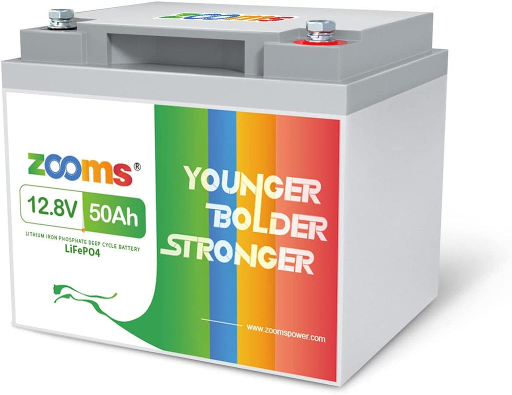 12.8V 50Ah Lithium LiFePO4 Battery with Built-in BMS W9134