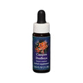 Canyon Dudleya Flower Essence 7.5ml G6464