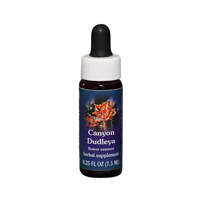 Canyon Dudleya Flower Essence 7.5ml G6464