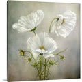 Photographic Print Canvas 24x22 D786