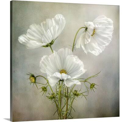 Photographic Print Canvas 24x22 D786