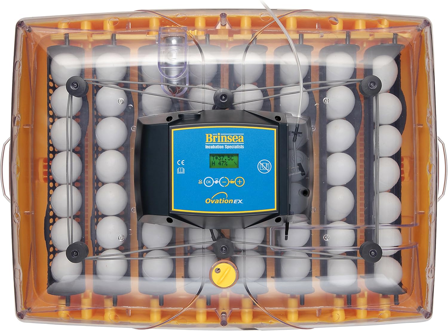 Fully Automatic Egg Incubator with Humidity Control Q7913