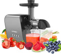 Slow Masticating Juicer Extractor with Cleaning Brush N300965