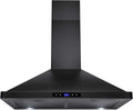 Black Painted Stainless Steel Range Hood with Lights and Carbon Filters Z8568