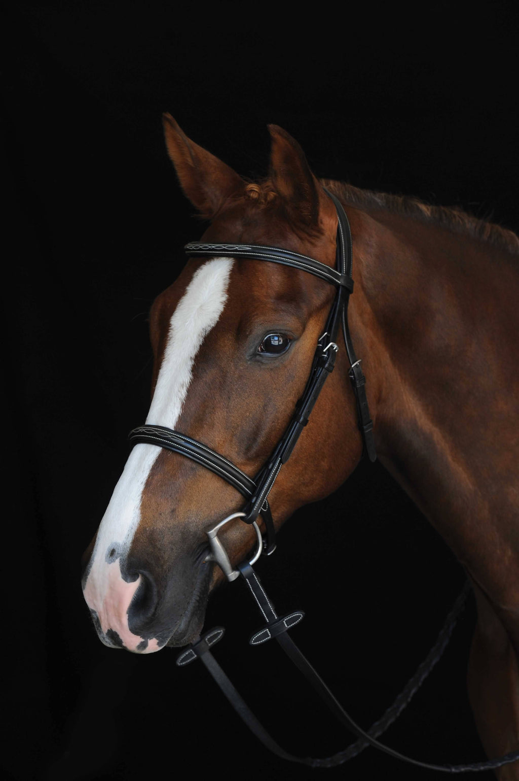 Brown Fancy Stitched Raised Cavesson Bridle E1284