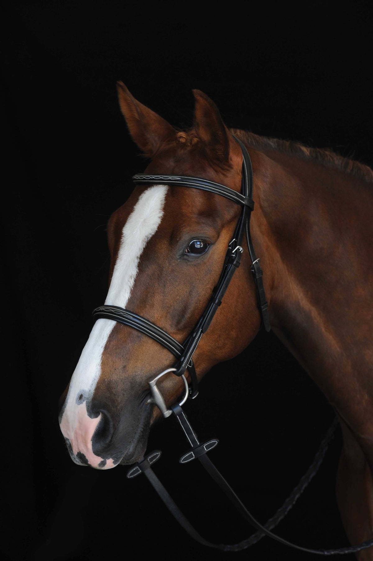 Brown Fancy Stitched Raised Cavesson Bridle E1284