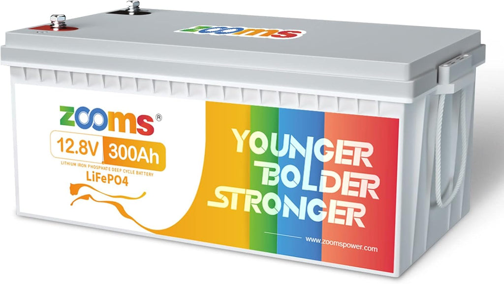 12.8V 50Ah Lithium LiFePO4 Battery with Built-in BMS W9134