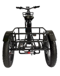 Three Wheel Electric Trike T429
