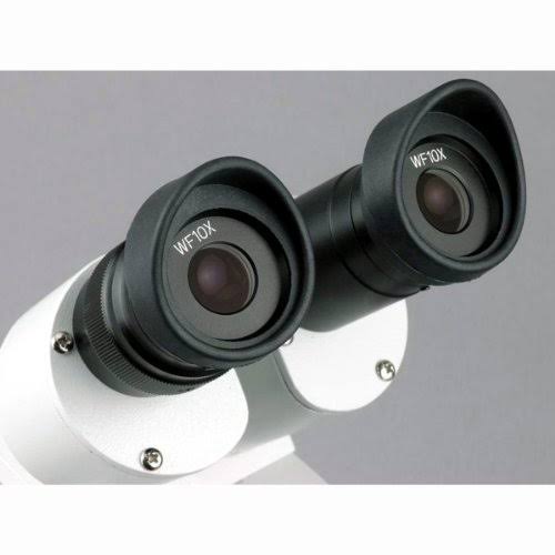 20X-40X-80X Forward Stereo Microscope with 1.3MP Digital Camera E8382