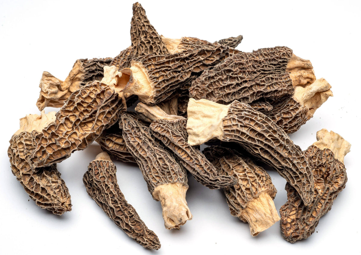 Dried Morel Mushrooms, Wild Morchella, 1 lb. L80568