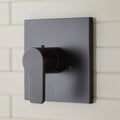 Matte Black Thermostatic Valve Trim with Rough in Valve F643133