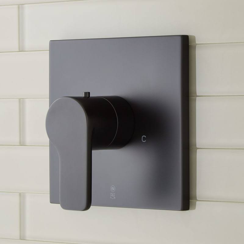 Matte Black Thermostatic Valve Trim with Rough in Valve F643133