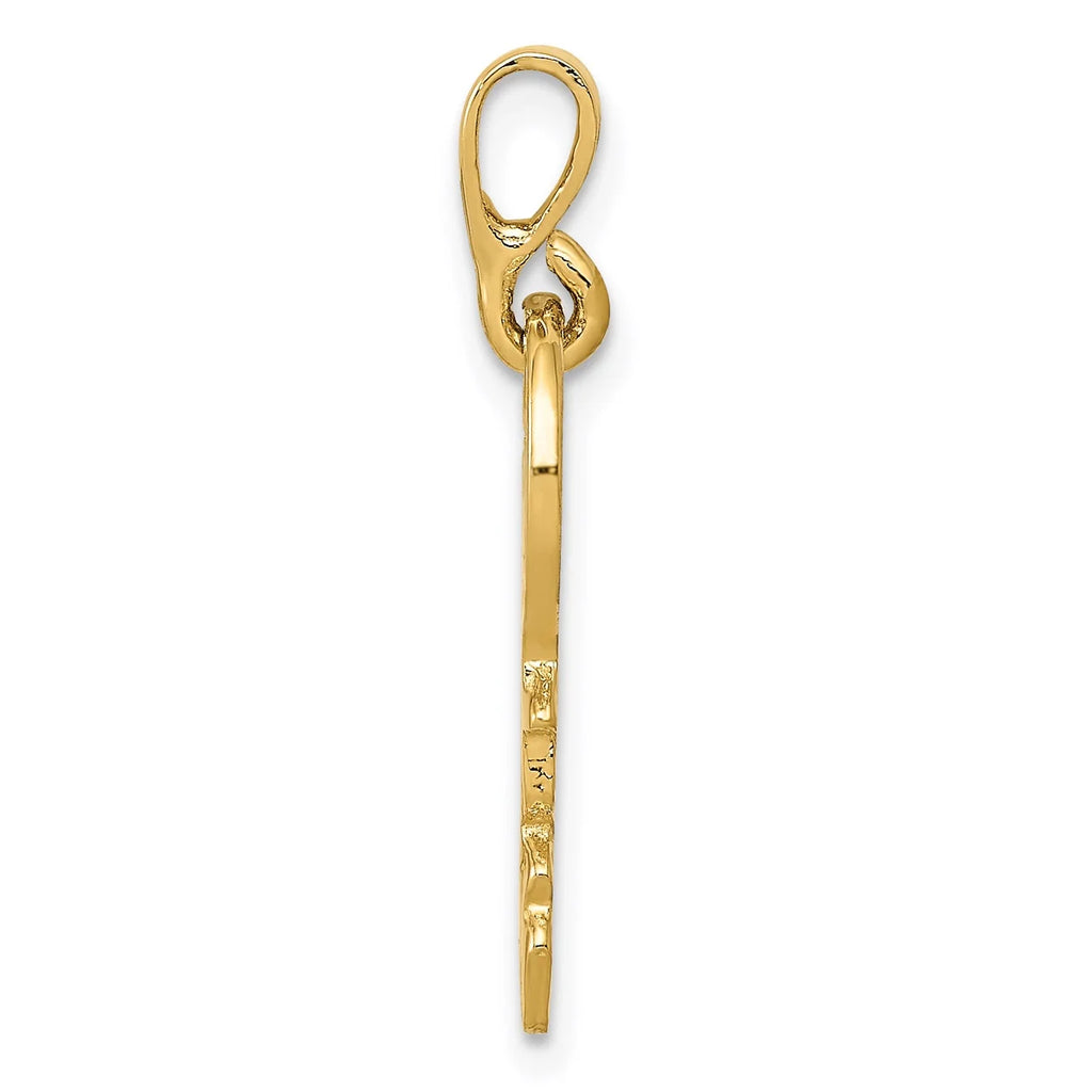 14K Yellow Gold Polished Key Pendant Charm With 10K Yellow Gold Rope Chain Necklace 16'' R948829
