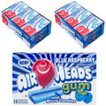 Sugar Free Xylitol Chewing Gum, 14 Sticks per Pack, 24 Pack T9915