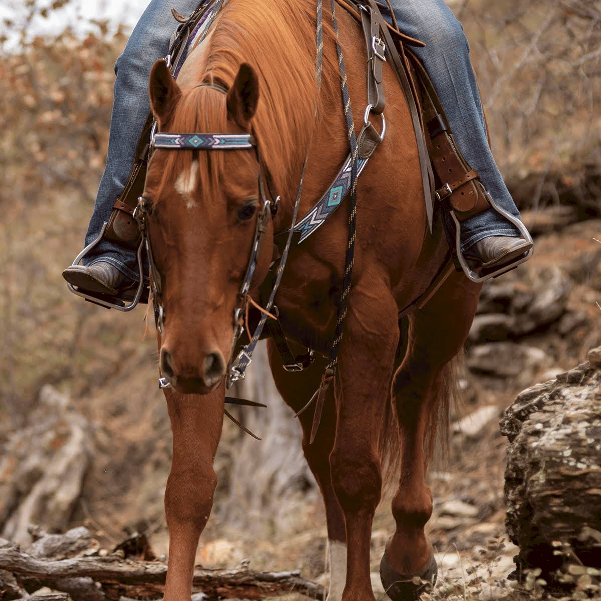 Beaded Slip Ear Headstall Z599