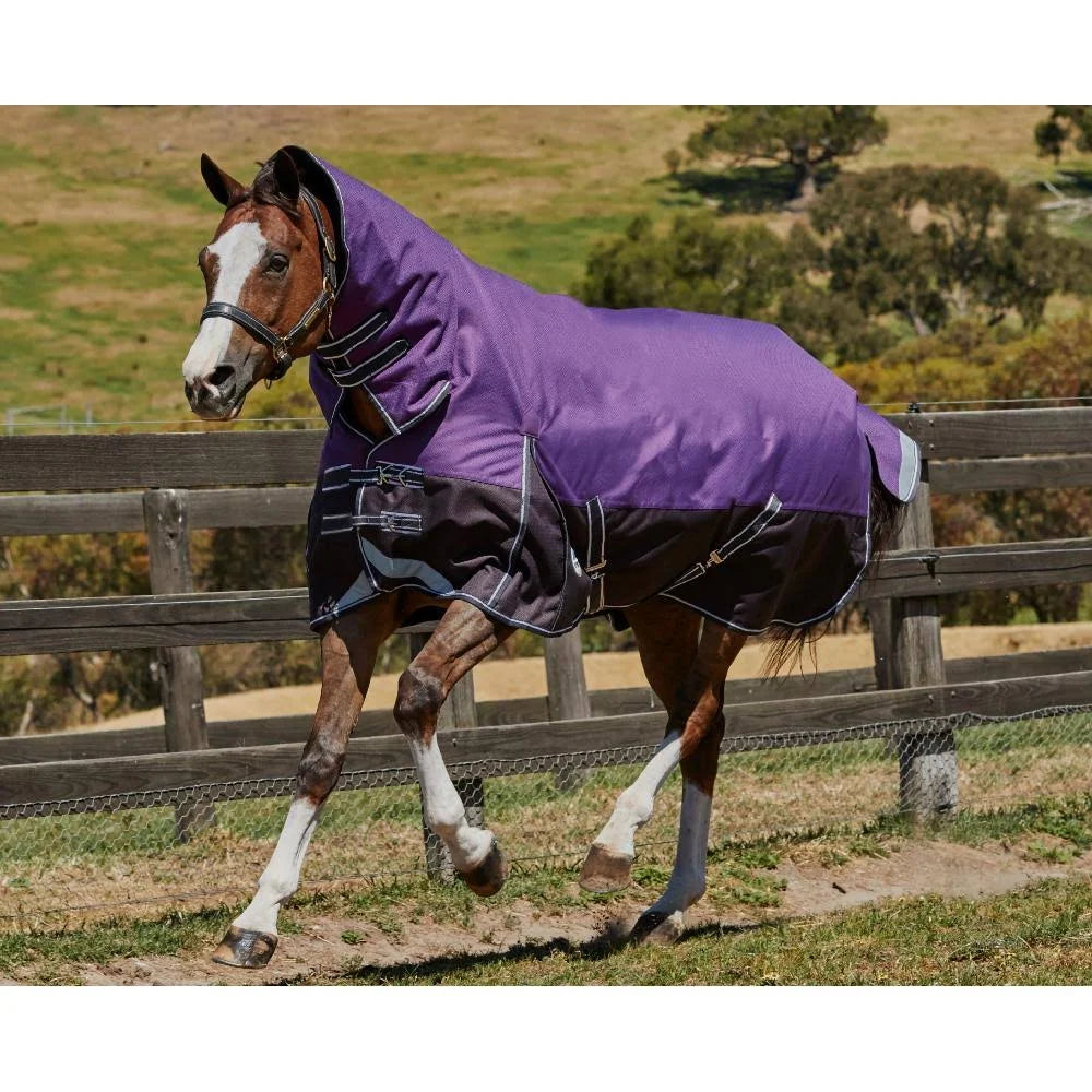 Purple / Black Combo Neck Lite N476
