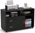 Black 2 Drawer Wood File Cabinet with Locks and Wheels U906