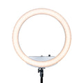 18x22 Ring Light with Stand, Battery Powered, Portable Q405