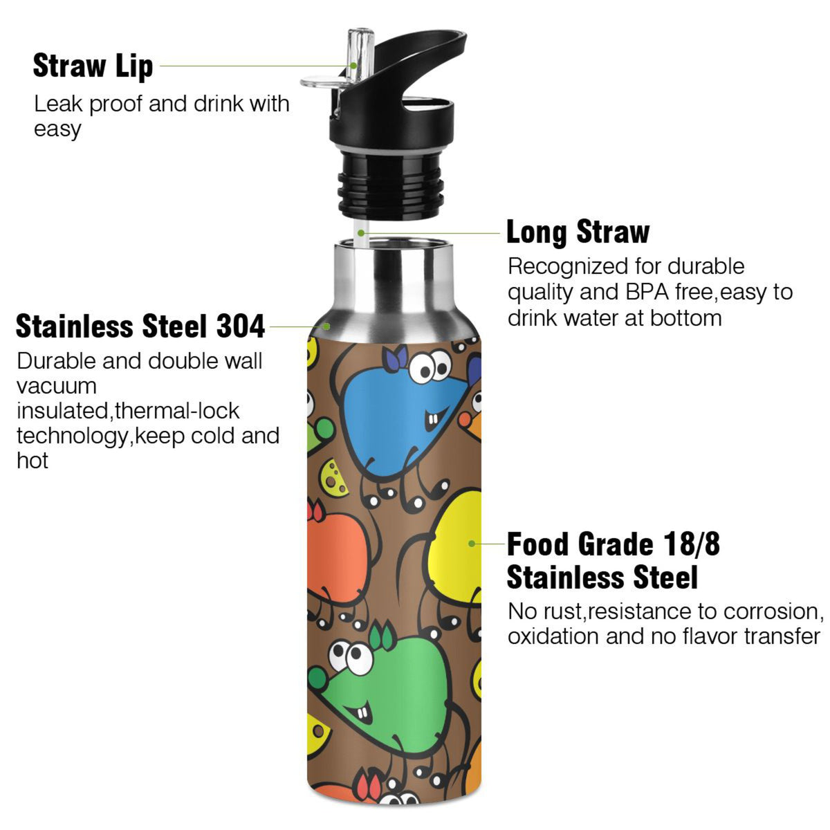 Stainless Steel Vacuum Insulated Water Bottle with Straw Lid 20 OZ X649