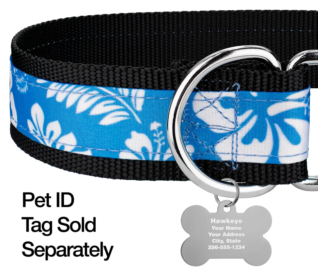 Blue Hawaiian Nylon Martingale Dog Collar, Medium J2354