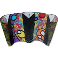 Rainbow Orbit Kite G306254