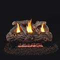 Vent Free 20-in Gas Burner with Variable Remote D3951