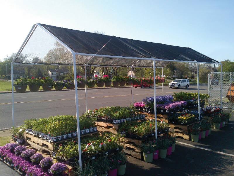Black Shade Canopy G59721