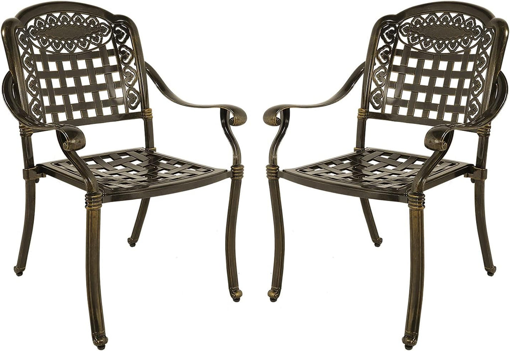 2-Piece Patio Cast Aluminum Dining Chairs N13791