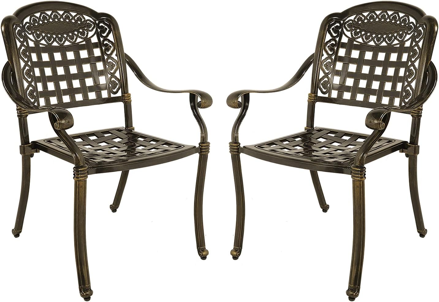 2-Piece Patio Cast Aluminum Dining Chairs N13791