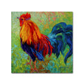 18x18 Canvas Art E641