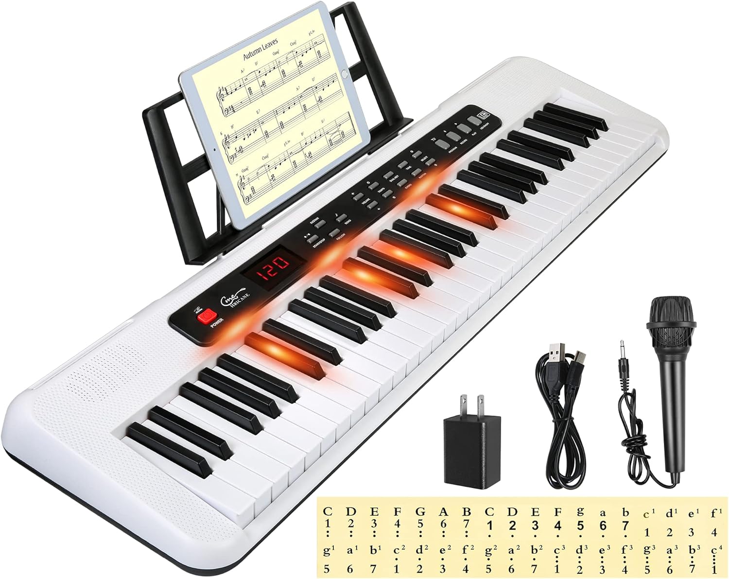 61 Key Electronic Keyboard with Lighted Keys Z1536