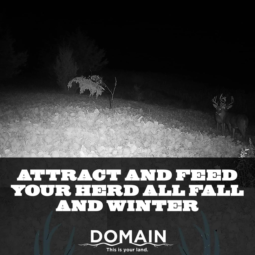 Deer Food Plot Seed Mix Y2705