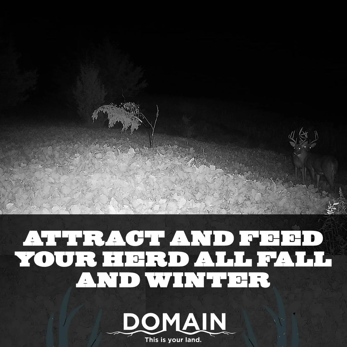 Deer Food Plot Seed Mix Y2705