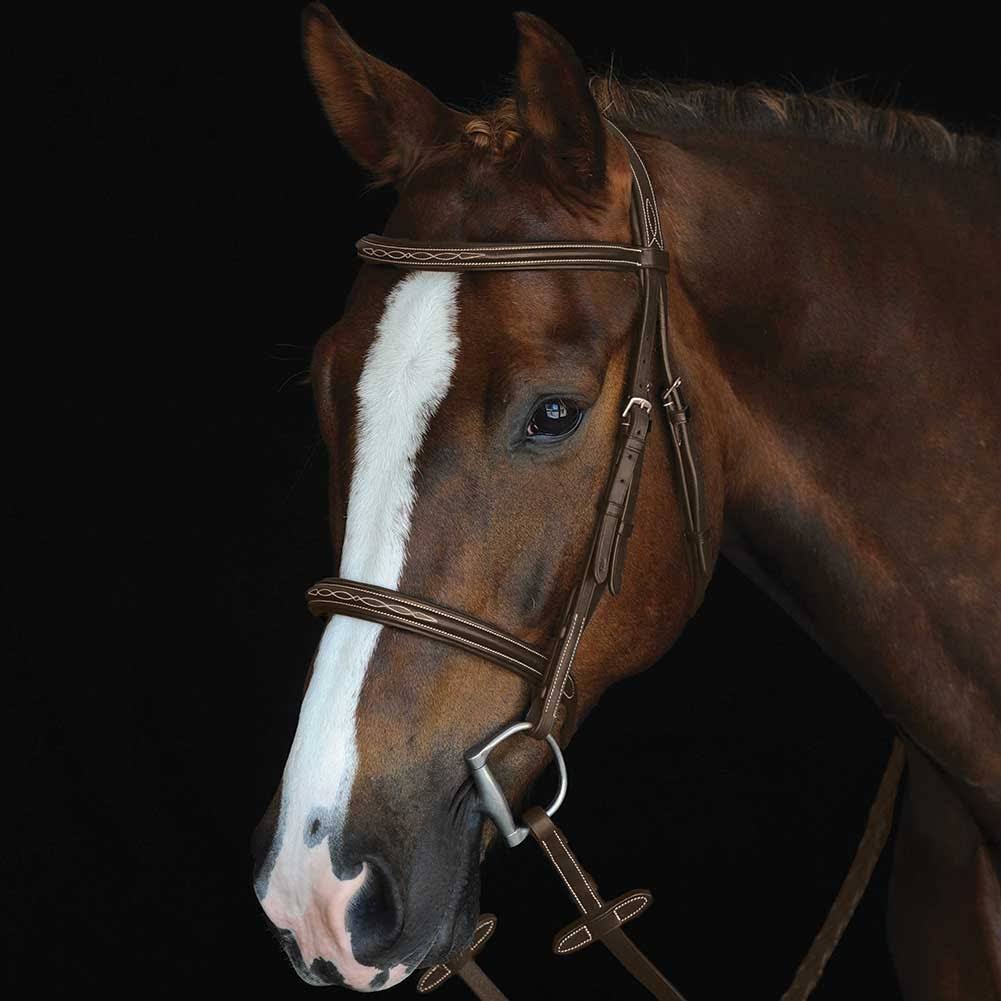 Brown Fancy Stitched Raised Cavesson Bridle E1284
