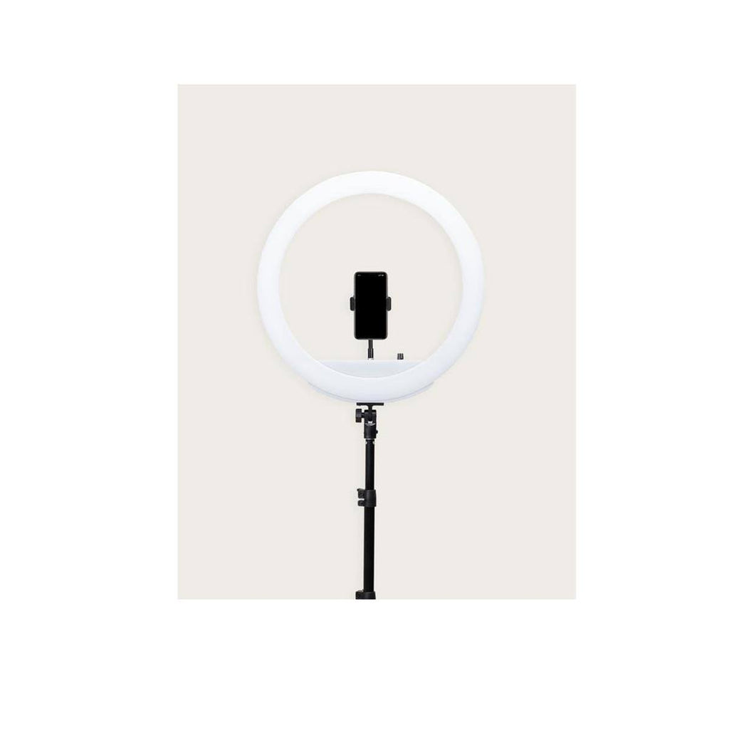 18x22 Ring Light with Stand, Battery Powered, Portable Q405